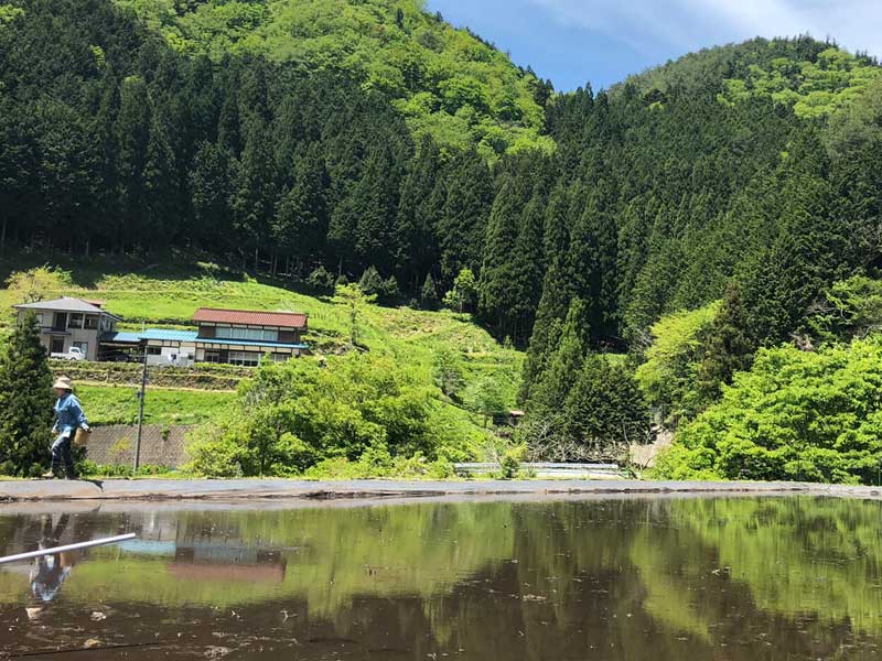 優勝賞品のお米