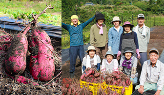 原料は自社農場でスタッフ自ら土作りから