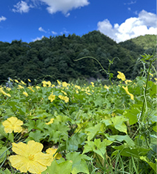 自社農場『母袋有機農場』