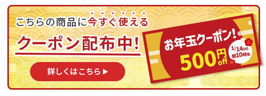 新春500円お年玉クーポン