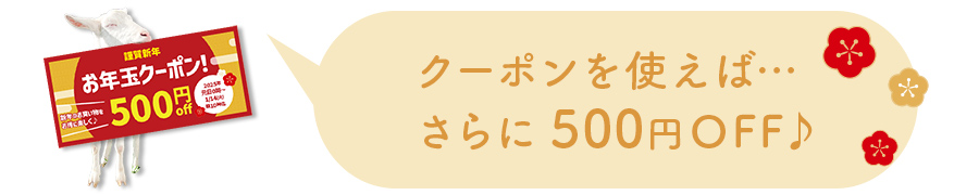 クーポンを使えばさらに500円OFF