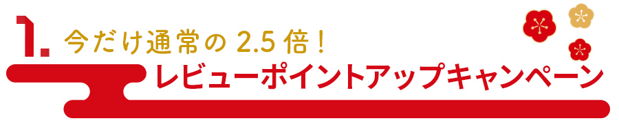 レビューポイントアップキャンペーン