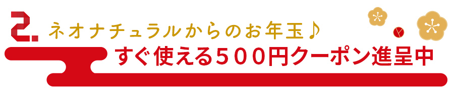 お年玉クーポン進呈